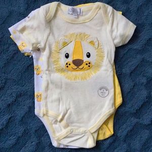 New! Roar, 🦁 3 bodysuits, 💯 cotton